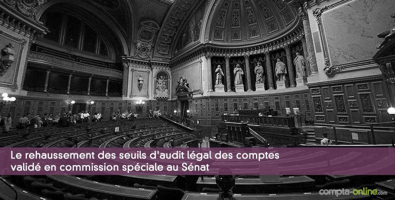 Le rehaussement des seuils d'audit légal des comptes validé en commission spéciale au Sénat