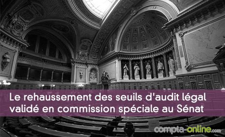 Le rehaussement des seuils d'audit légal des comptes validé en commission spéciale au Sénat