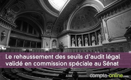 Le rehaussement des seuils d'audit lgal des comptes valid en commission spciale au Snat