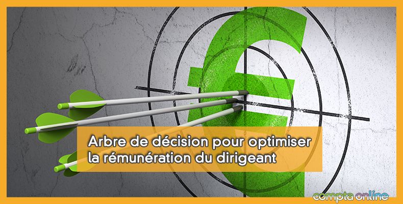 Rémunération du dirigeant