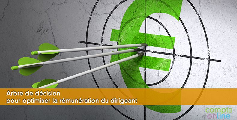 Rémunération du dirigeant