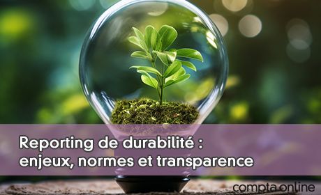 Reporting de durabilit : enjeux, normes et transparence