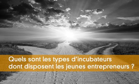 Les différents types d'incubateurs