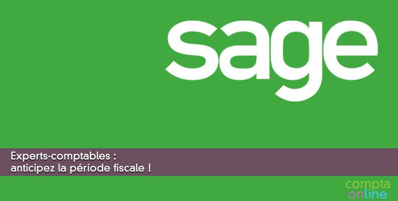 Experts-comptables : anticipez la période fiscale !