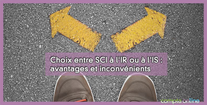 SCI à l'IR ou à l'IS