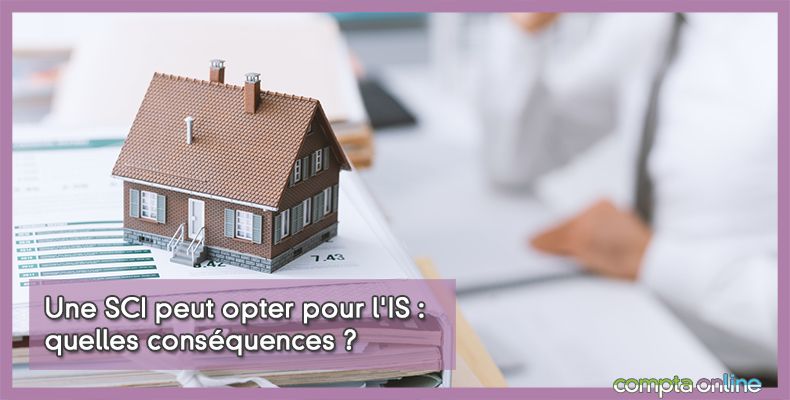 SCI option à l'IS