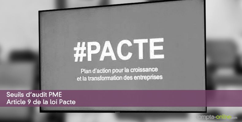 Seuils d'audit PME - Article 9 de la loi Pacte