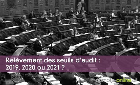 Relvement des seuils d'audit : 2019, 2020 ou 2021 ?