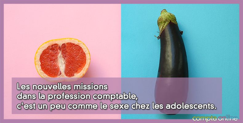 Les nouvelles missions dans la profession comptable, c'est un peu comme le sexe chez les adolescents