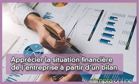 Apprcier la situation financire de l'entreprise  partir d'un bilan