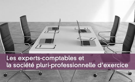 Les experts-comptables et la société pluri-professionnelle d'exercice