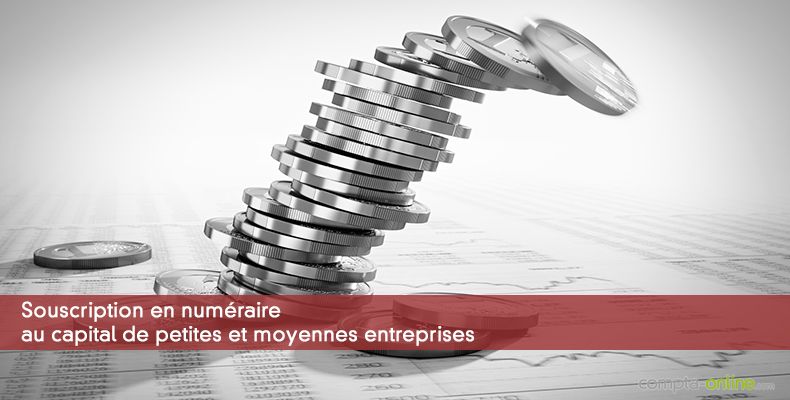 Souscription en numéraire au capital de petites et moyennes entreprises