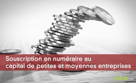 Souscription en numéraire au capital de petites et moyennes entreprises