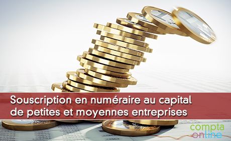 Souscription en numraire au capital de petites et moyennes entreprises