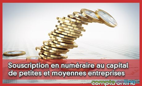 Souscription en numraire au capital de petites et moyennes entreprises