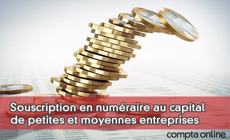 Souscription en numraire au capital de petites et moyennes entreprises
