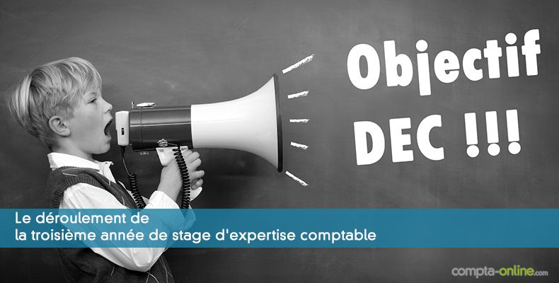 Le déroulement de la troisième année de stage d'expertise comptable
