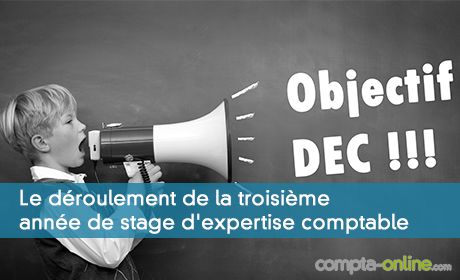Le déroulement de la troisième année de stage d'expertise comptable