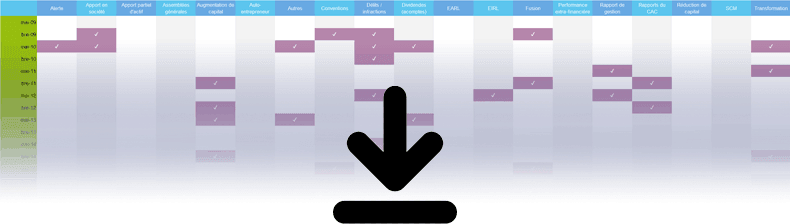 DEC Droit des socits et entrepreneurs individuels