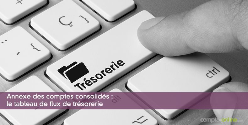 Annexe des comptes consolidés : le tableau de flux de trésorerie