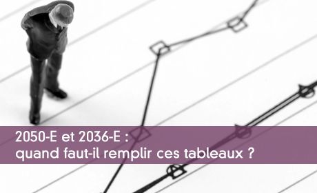 Les tableaux 2050-E et 2033-E : la valeur ajoutée