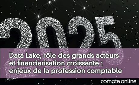 Data Lake, rle des grands acteurs et financiarisation croissante : enjeux de la profession comptable en 2025