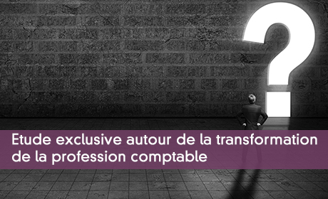 Etude exclusive autour de la transformation  de la profession comptable