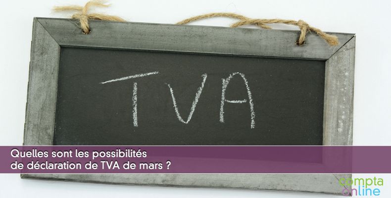 Quelles sont les possibilités de déclaration de TVA de mars ?