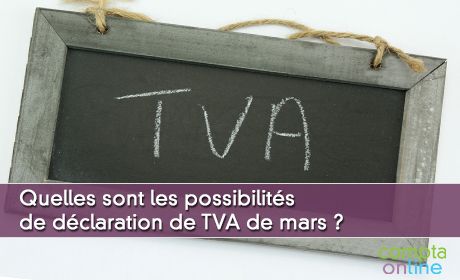 Quelles sont les possibilits de dclaration de TVA de mars ?