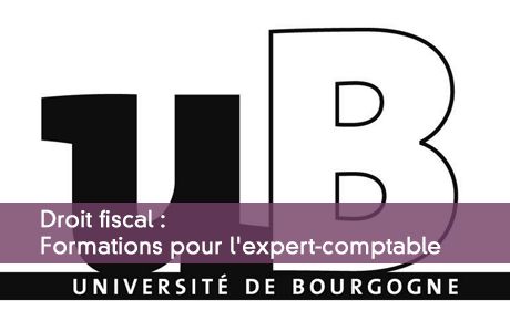 Quelle spécialisation pour l'expert-comptable ?