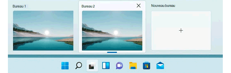 Windows 11