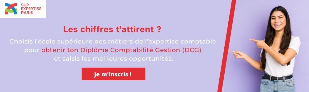 Fiche Annuelle D Activité Du Stagiaire Expert Comptable